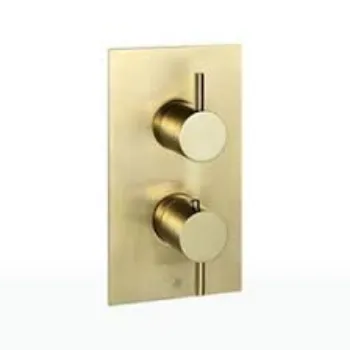 Shower Valves